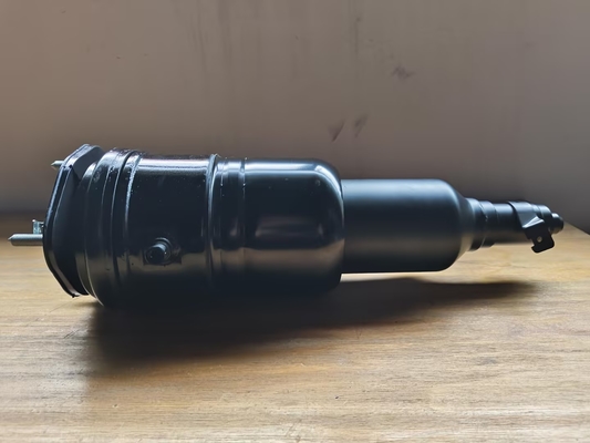 OE নম্বর 48010-50282 লেক্সাস LS600H এর জন্য সামনের ডানদিকে এয়ার-রাইড সাসপেনশন স্প্রিং